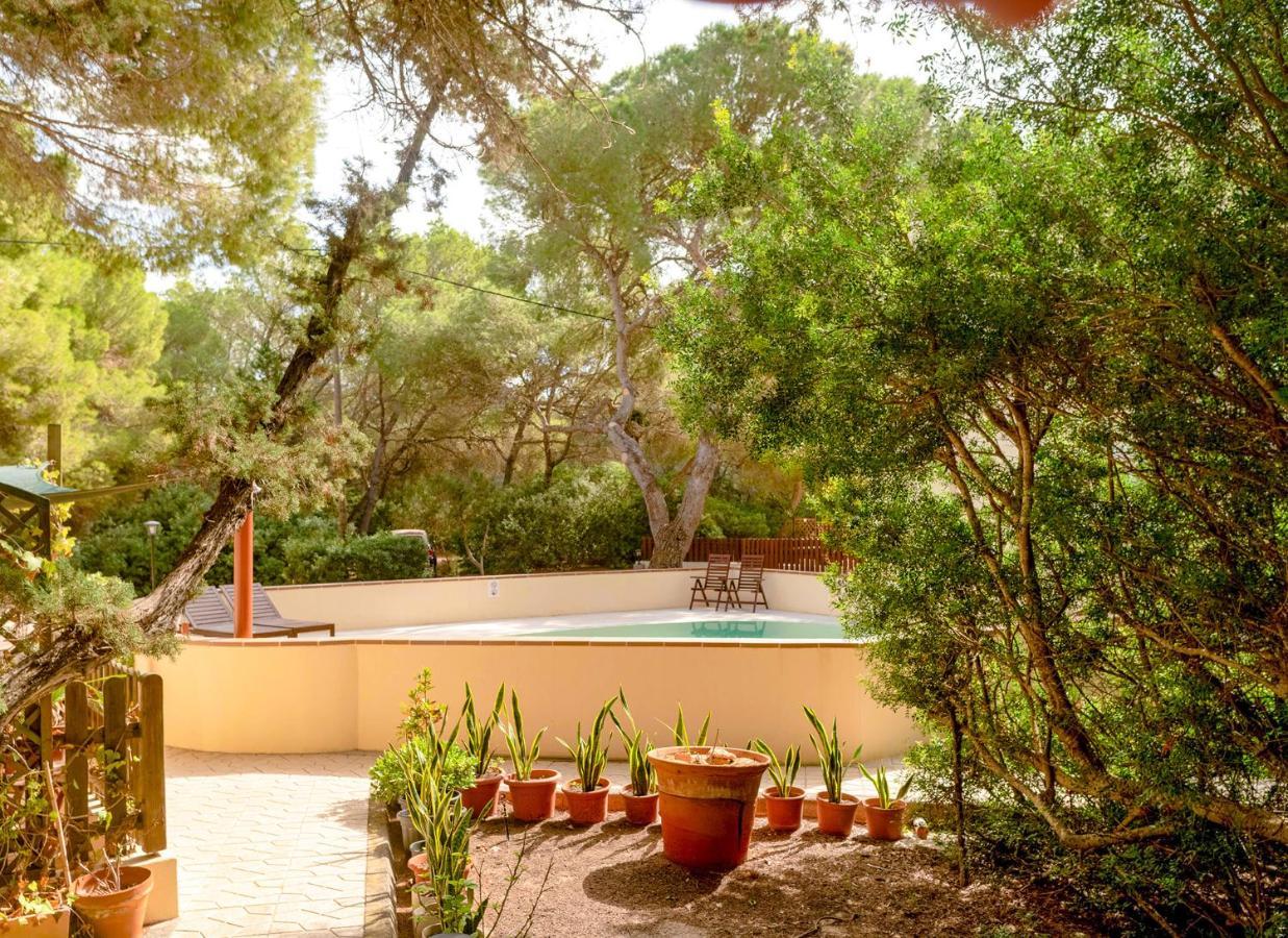 Apartamentos El Pino - Formentera Break Es Calo  Exterior photo